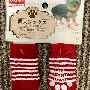 Daiso puppy polka dotted socks